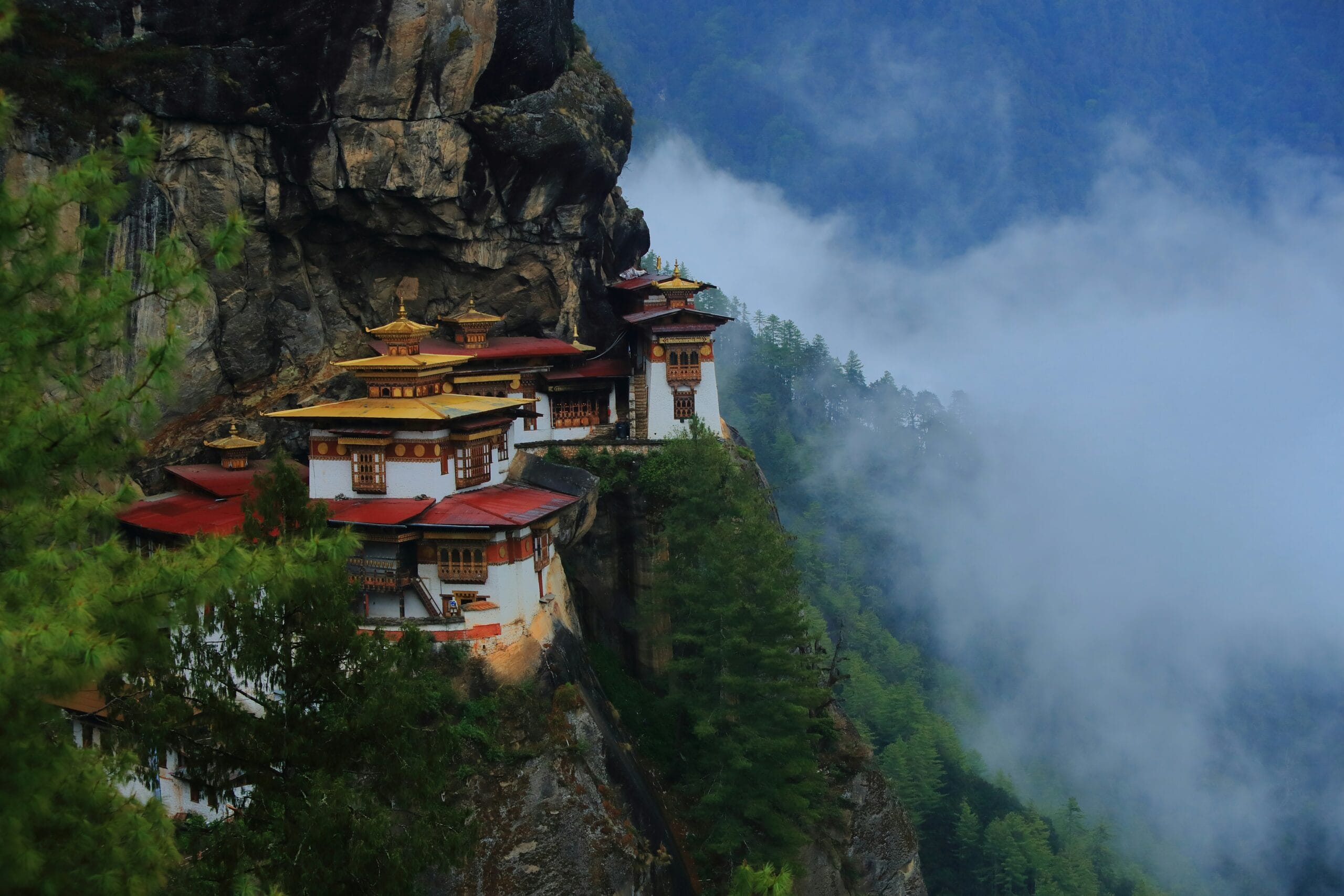 Private Bhutanese Sanctuary Expedition Portfolio View